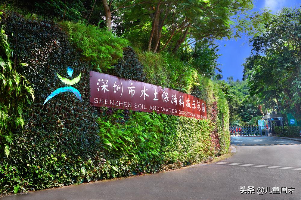 深圳带娃免费旅游推荐,深圳带娃出游景点攻略推荐