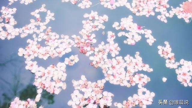 第一印象很重要内在更重要,第一印象很重要原版