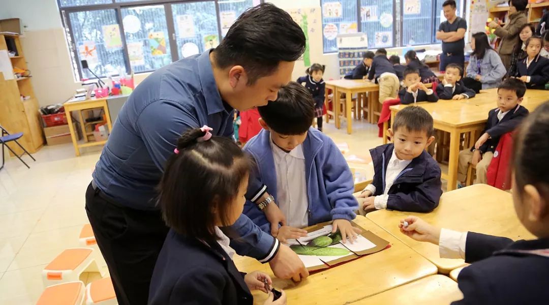 你好，碧桂园小学！初次见面请多指教！