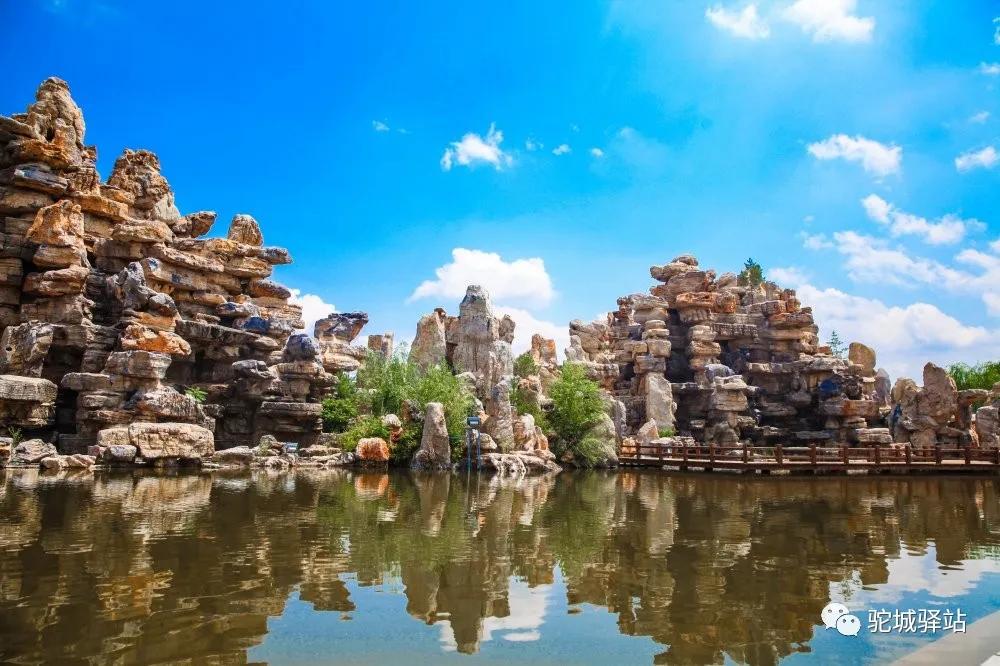 榆林牡丹园,榆林千年牡丹园