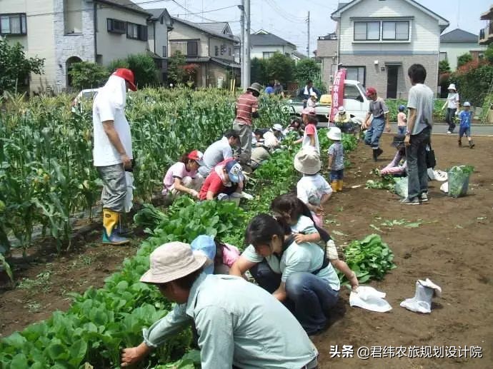 中国和日本农业到底有什么样的差距，不得不承认！