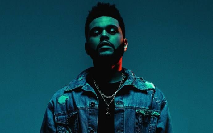 盆栽哥国际影响力,盆栽哥新剧