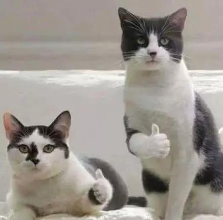 孩子上学家用连接手机打印机推荐,家用孩子上学常用打印机