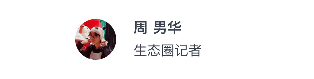 深度探访根宝足球基地,根宝足球基地起航