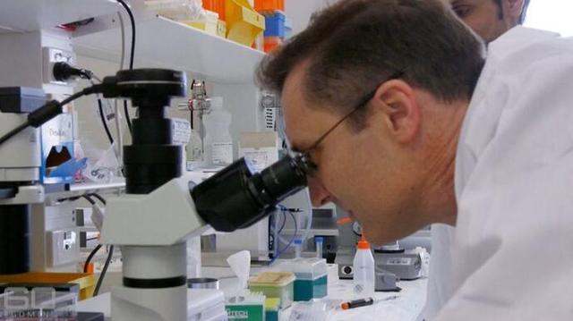 国外能治好血癌吗,治疗血癌的靶向药120万