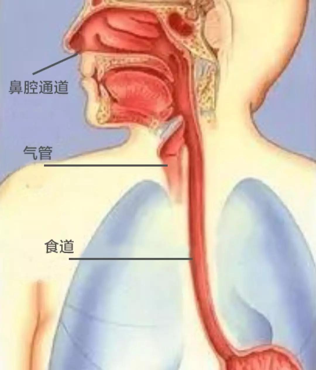 男篮吉喆死因,篮球吉喆得肺癌的原因