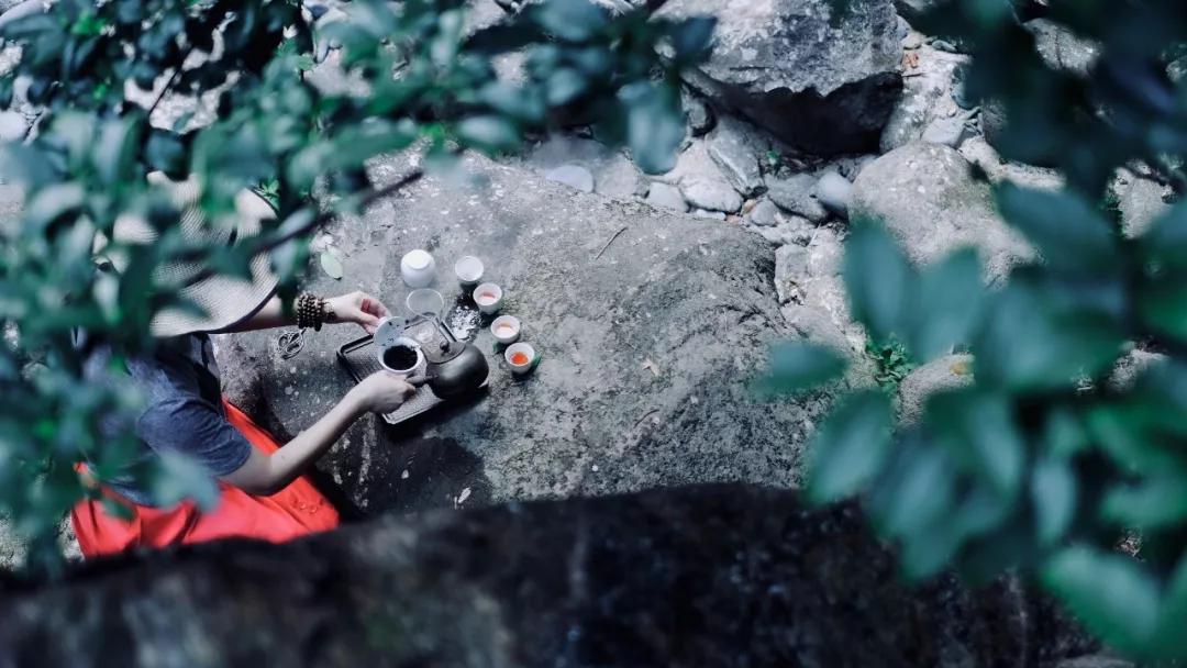 武夷山亲子民宿推荐独栋别墅,武夷山风景区民宿推荐价格表