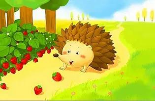 小刺猬的梦视频,刺猬的愿望电子书