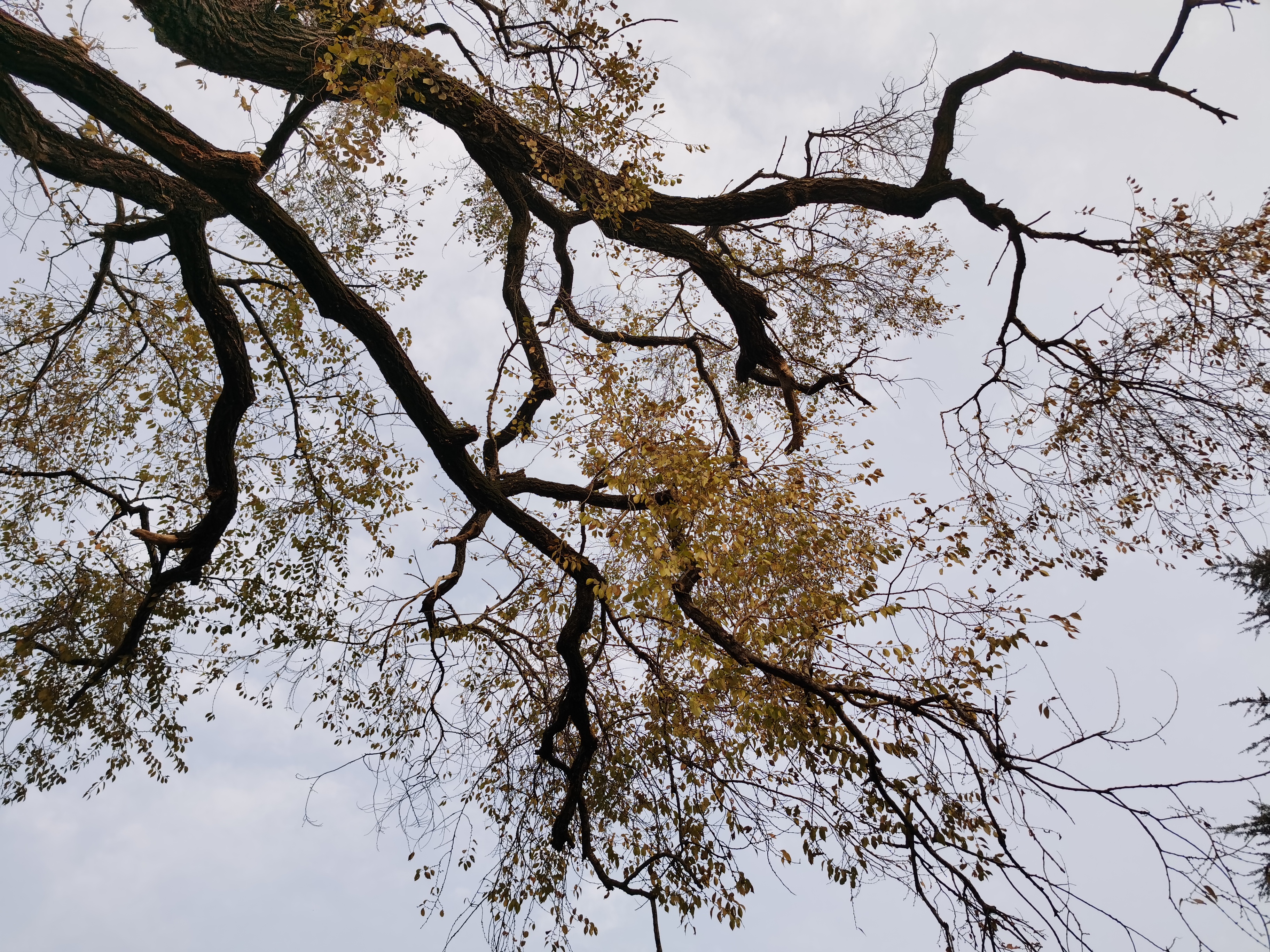 上海高铁直达旅游城市,上海高铁直达
