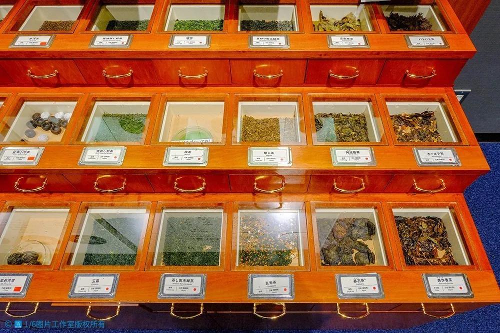 日本茶文化旅游,日本茶之都博物馆