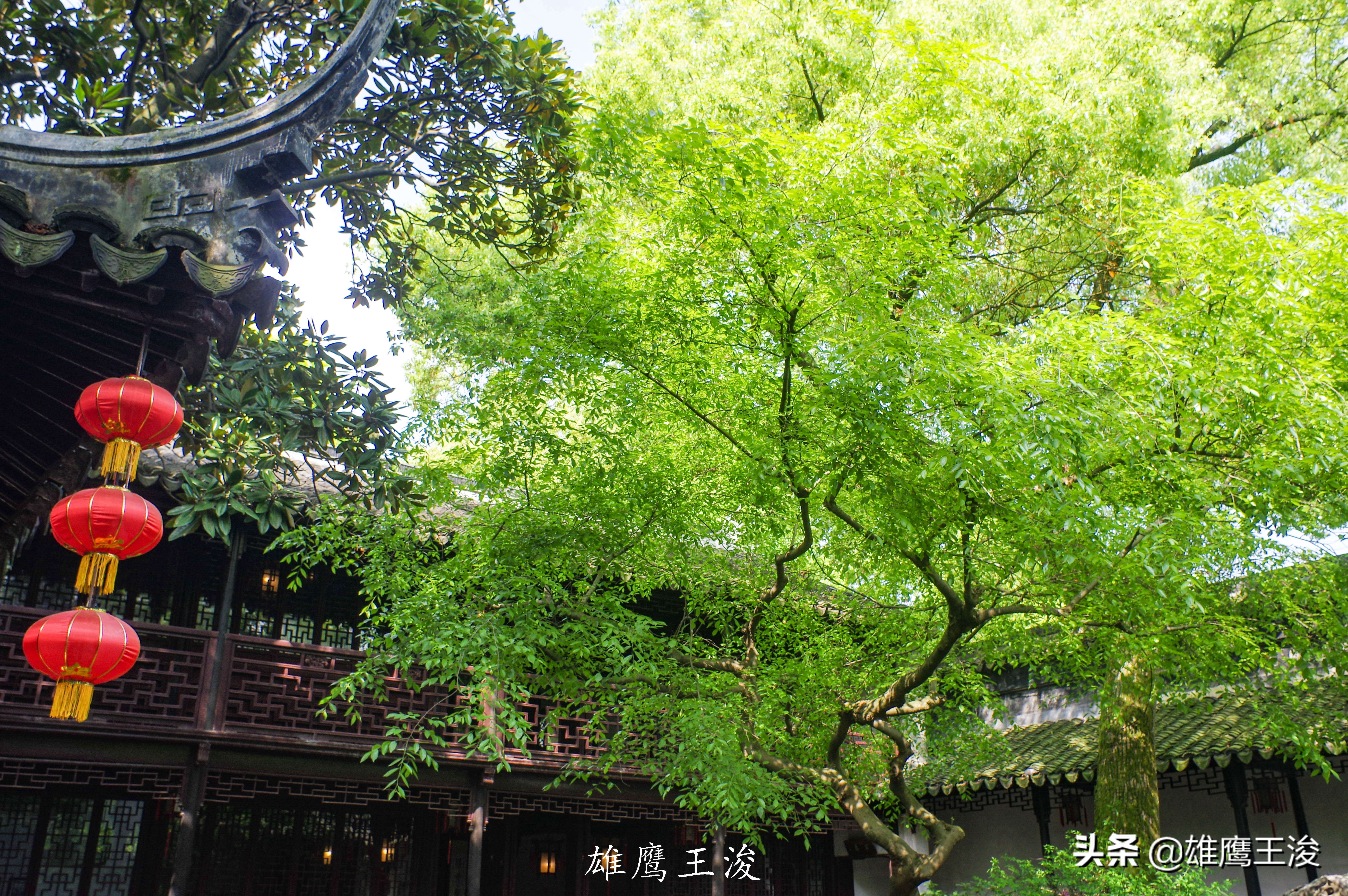 许州苏州,为什么网民把苏州叫许州