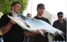 全国十大凶猛淡水鱼是什么,十大养不死的淡水鱼大型凶猛