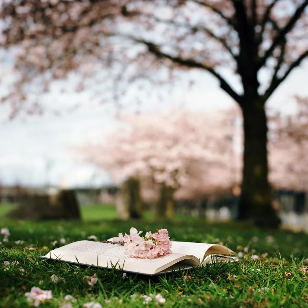 10个节约好习惯,30个节俭行为