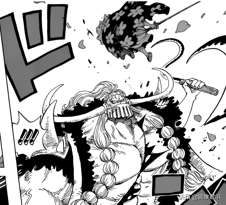 海贼王中都有哪些能力,海贼王中四大隐藏实力