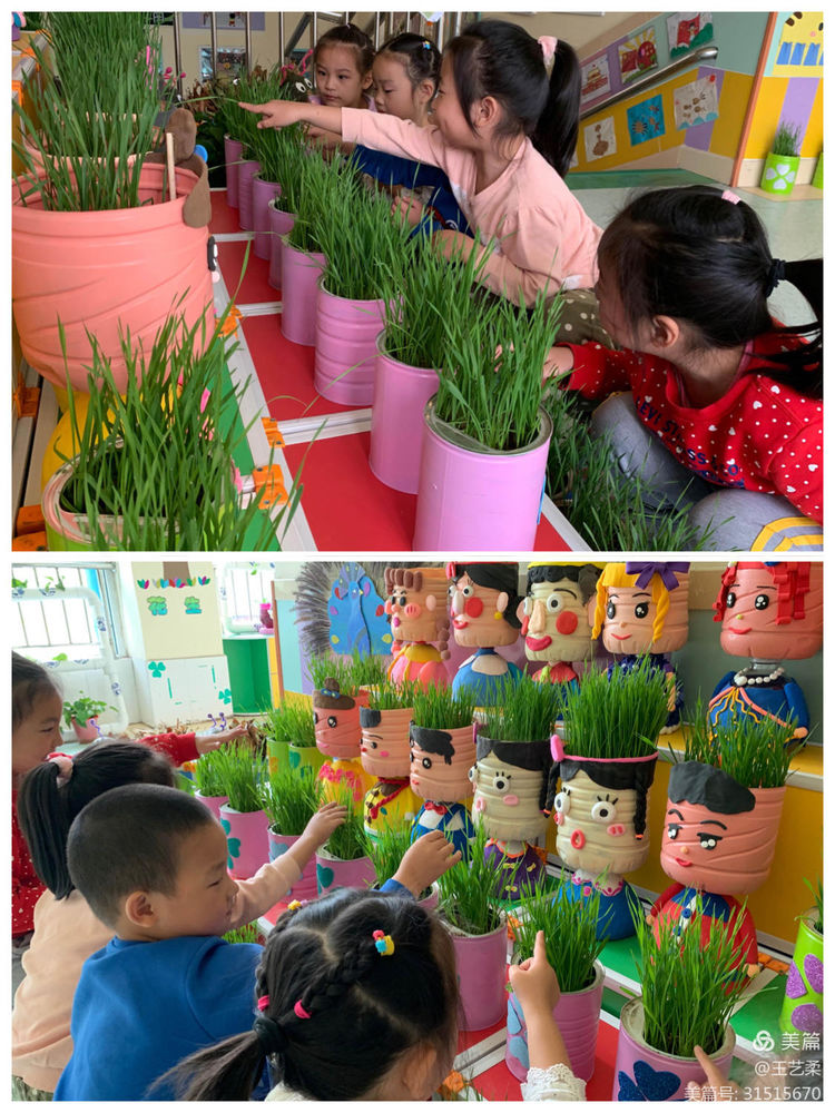 幼儿园自然角全景创设,幼儿园自然角的创设介绍