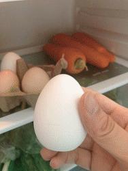 冰箱里隐藏的杀手大家不得不防,冰箱散发什么有害物质