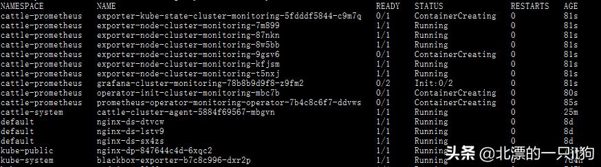 rancher2.5閮ㄧ讲k8s,rancherk8s浣跨敤鏁欑▼
