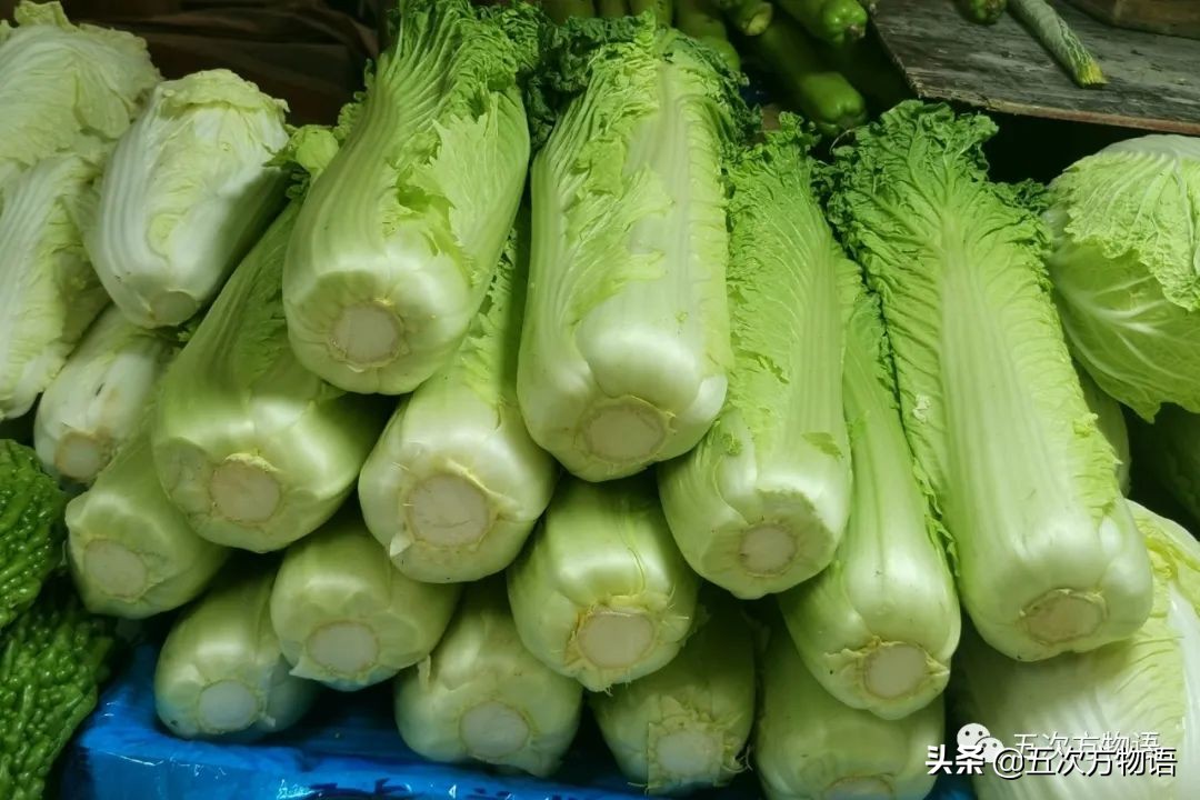 漫谈起源于中国的蔬菜