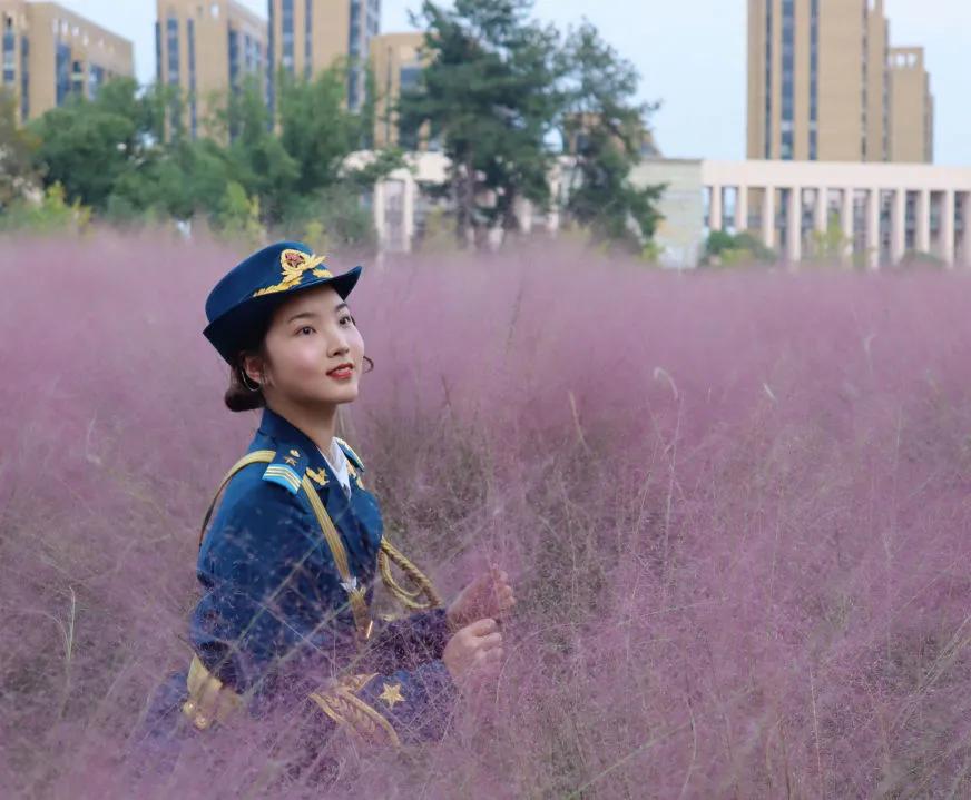 金的功用,金的功能主治