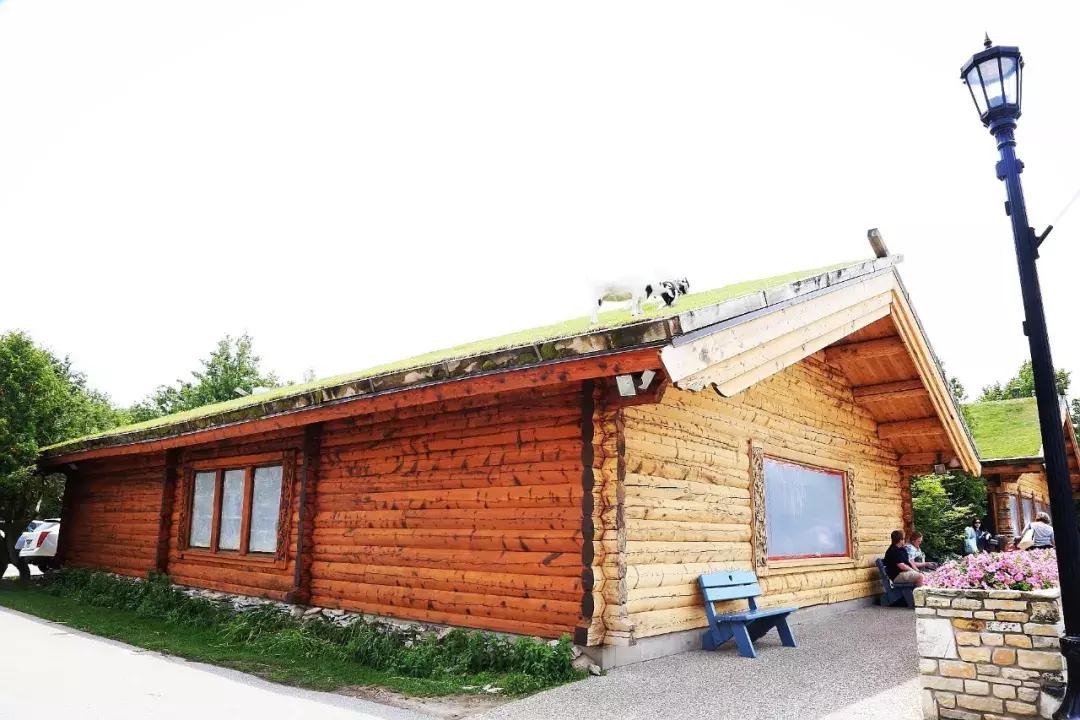 芝加哥南部旅游攻略图文,芝加哥附近旅游