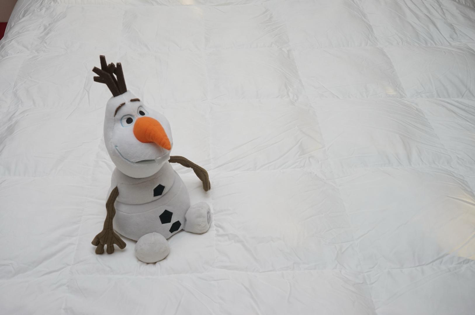 轻柔高档鹅绒被,高档轻柔鹅绒被