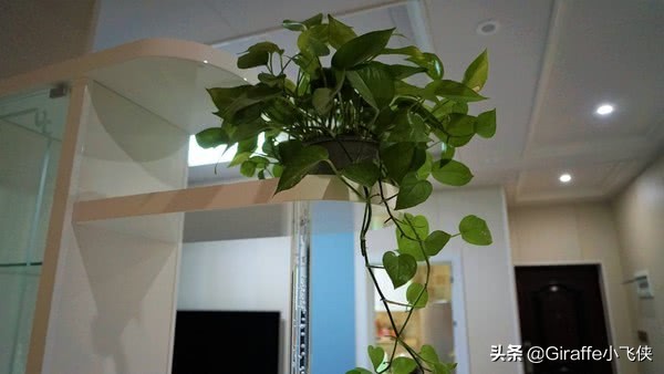 小苑温泉民宿宜春,江西宜春富硒温泉民宿