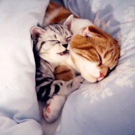 上厕所没有厕纸只能用绳子,上厕所没有卫生纸能用吗