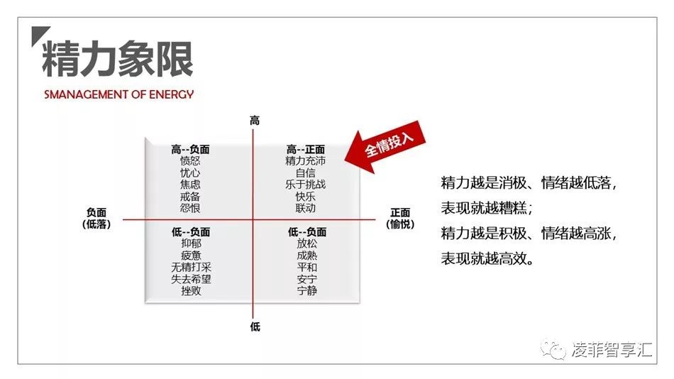 《精力管理》心得感悟,精力管理读后感