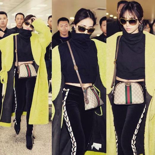 是谁动了我的奶酪,是谁动了猫咪的奶酪