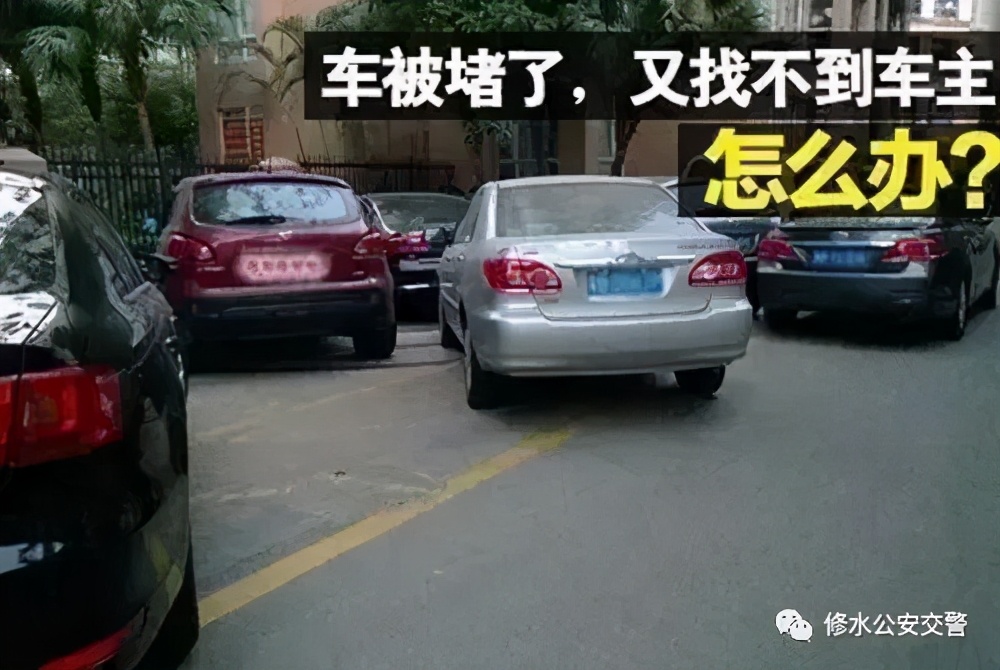 交警窗口为群众办实事,江西省我为群众办实事活动方案