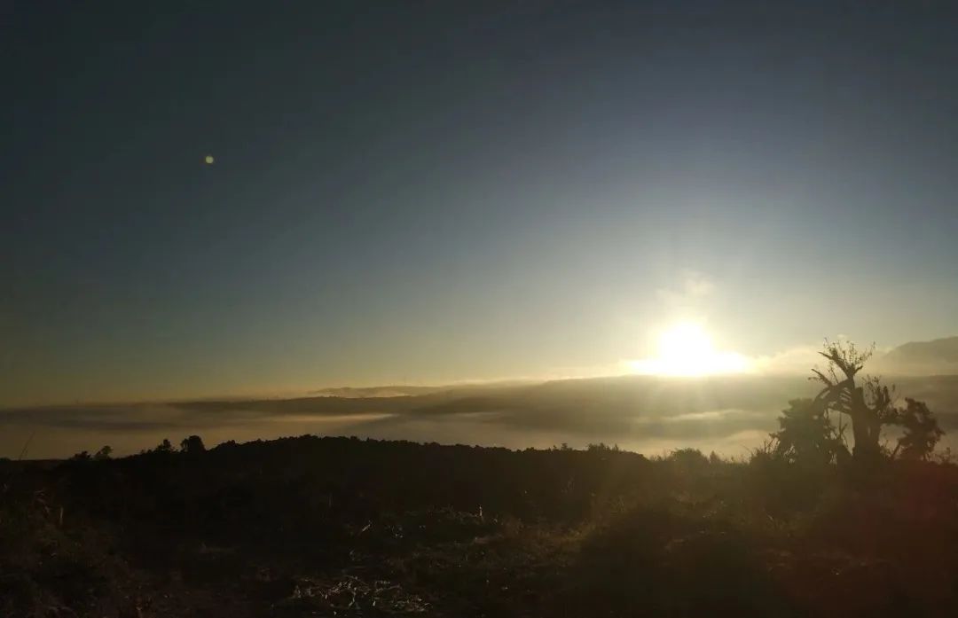 pr品牌管理方法,公关pr是什么