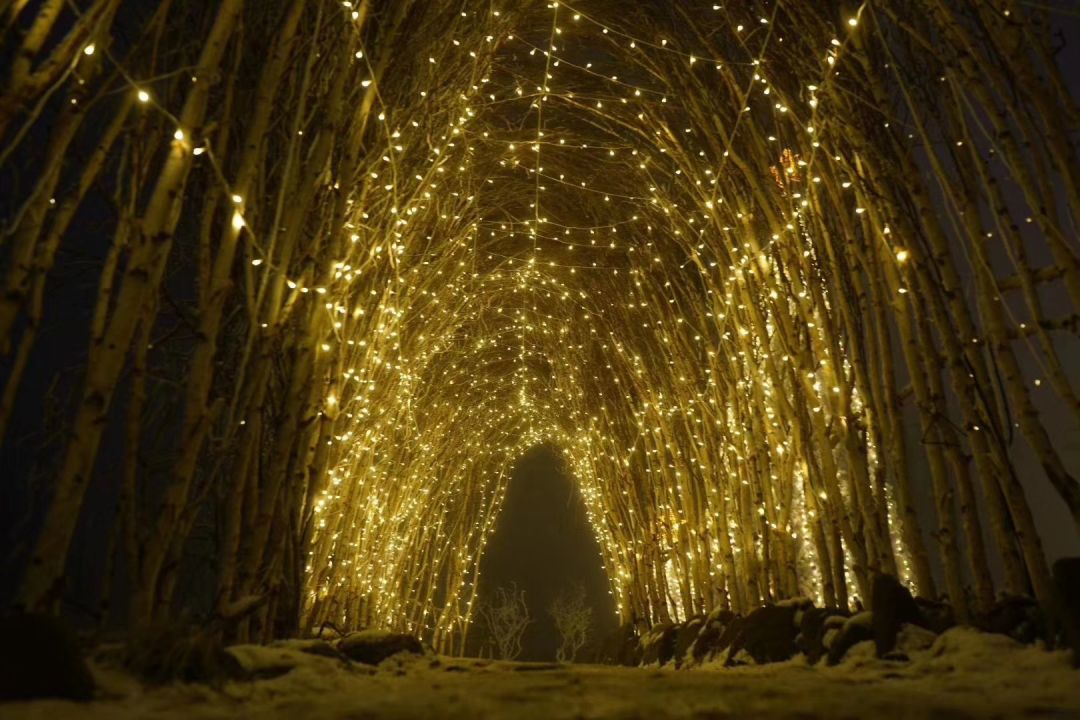 去西岭雪山玩雪要准备些什么,去西岭雪山滑雪需要先买门票吗