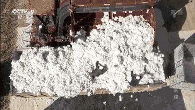 冷知识坑爹问答,冷知识扎心语录