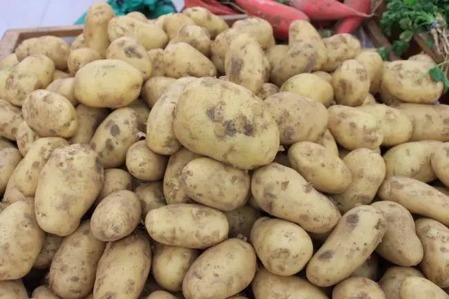 全国各地最全特产,全新疆特产