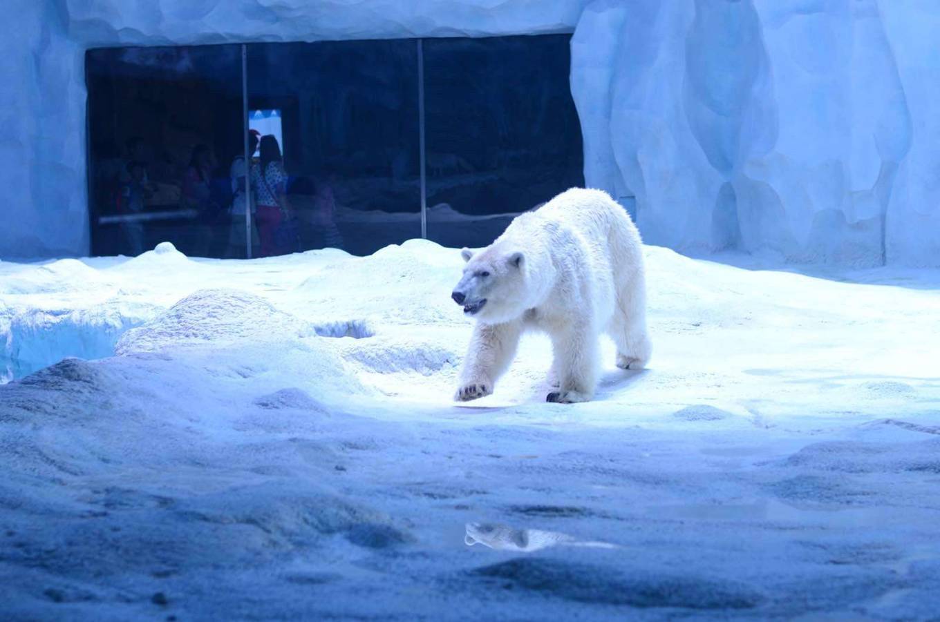 珠海长隆三日游攻略及住宿,珠海长隆游玩攻略3天2晚住宿套票