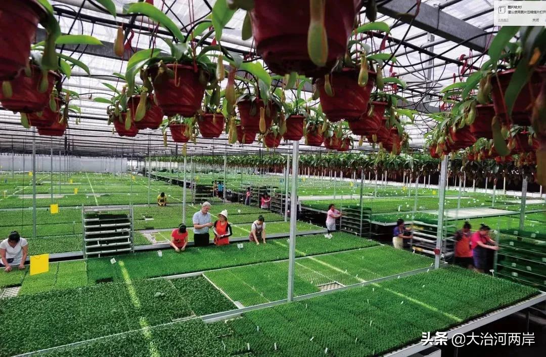 国庆小长假第二天,国庆小长假一日游