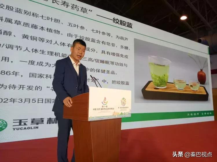 秦汉古茶价格,秦汉古茶图片