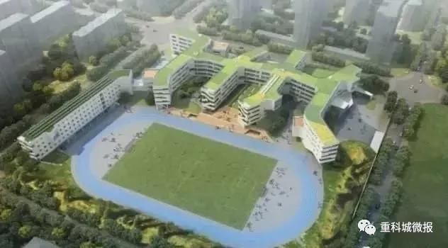 南开中学、南渝中学、树人小学、沙坪坝小学……这些名校扎堆了