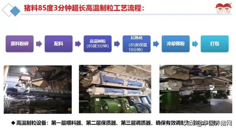 双胞胎饲料评价怎样,双胞胎饲料厂生产技术怎么样