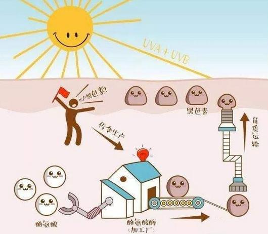 想让皮肤变白做什么美容,想让皮肤变白变嫩