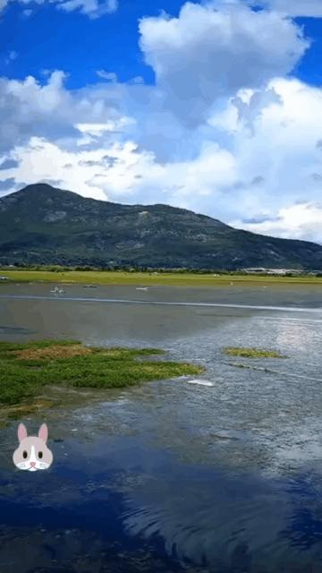 课代表干货笔记|作业扣分原因、满分必备要素、涨粉秘诀大揭晓!