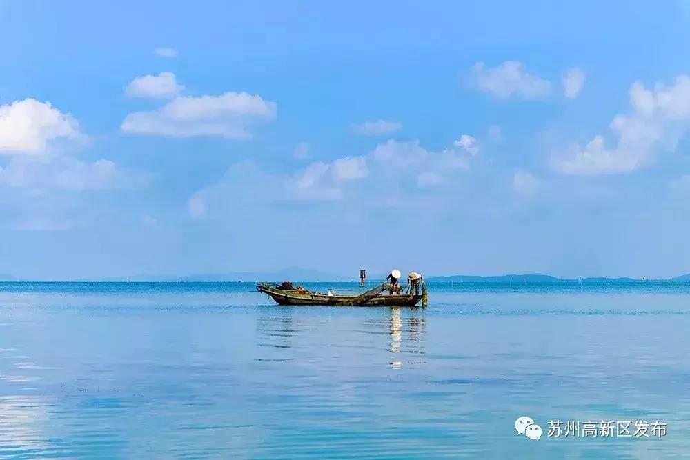 一企业被环保罚款51万元,首例生态环境损害赔偿案