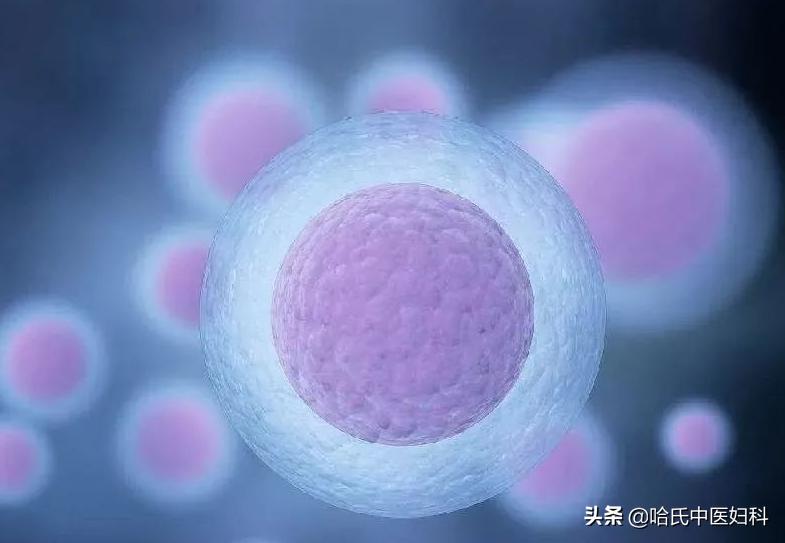 多囊卵巢综合征怀孕多久能测出来,多囊卵巢综合征怀孕了容易流产吗