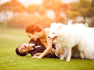 情侣之间怎么才能不吵架不冷战,情侣冷战怎么解决的句子