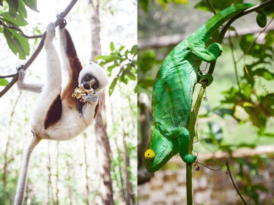 2斤龙虾100块钱,2斤龙虾58元