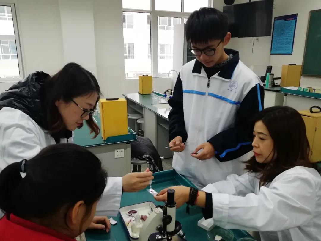 成都铁中和铁中府河校区,成都铁中