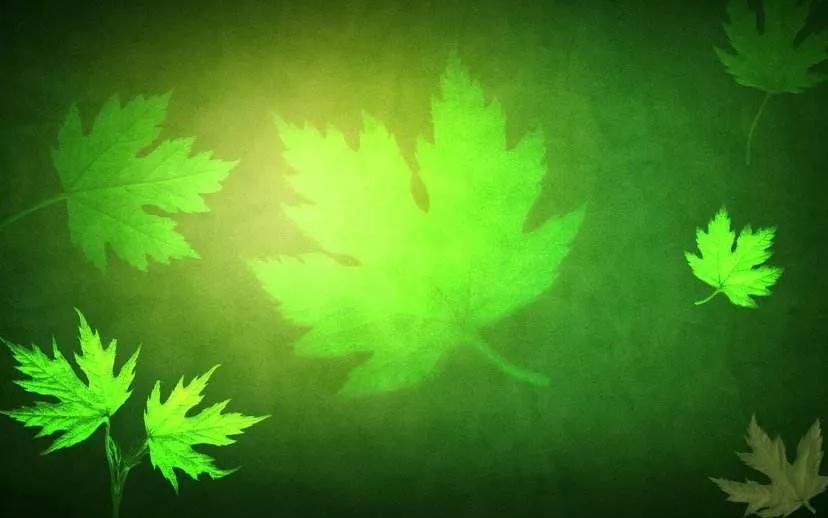 山瘦水寒的含义,山瘦水寒