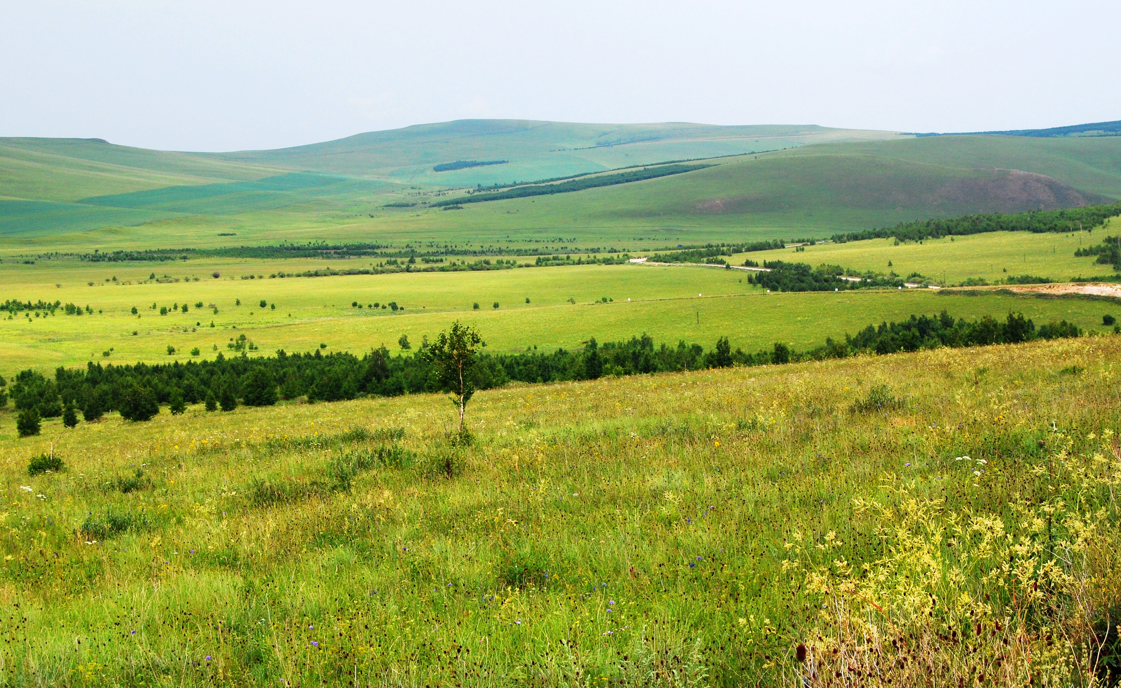 一辆车，从东乌旗沿中蒙边境公路到阿尔山，漫长边关寻迹历史遗存