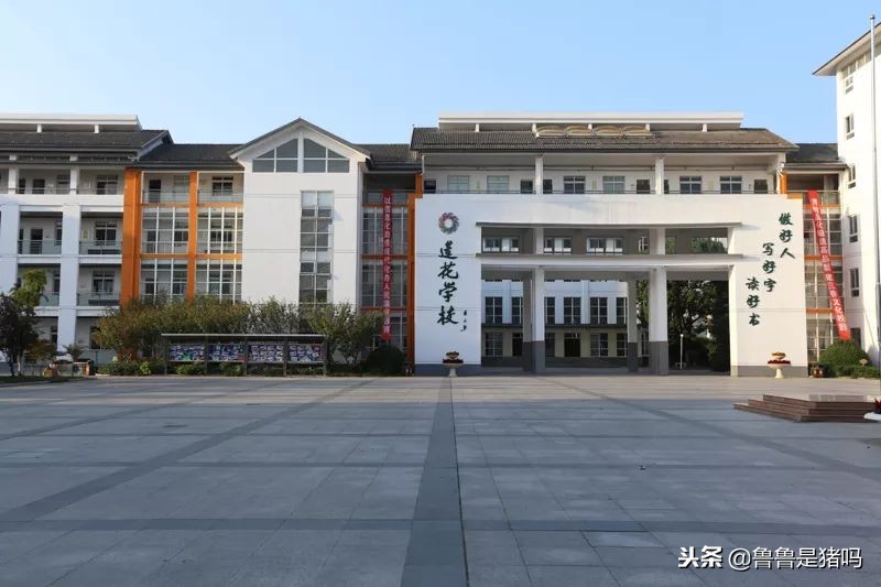 苏州有哪些五年一贯制学校,苏州园区九年一贯制学校排名