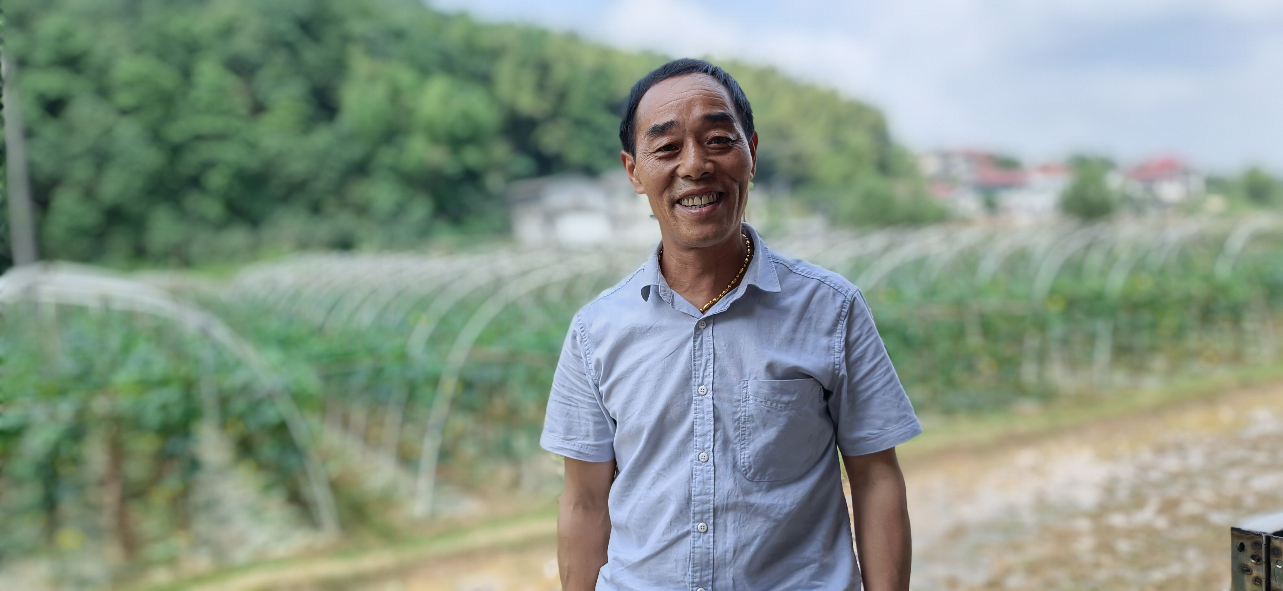 白关丝瓜基地投资每百亩多少钱,白关丝瓜特征特性